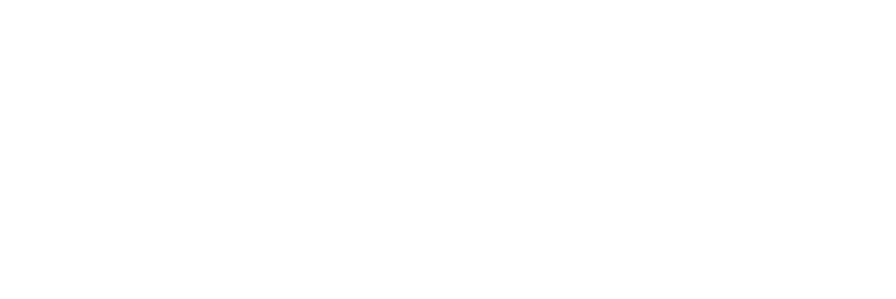 VyrtualTickets™